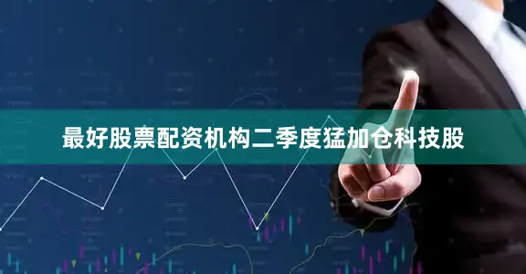 最好股票配资机构二季度猛加仓科技股