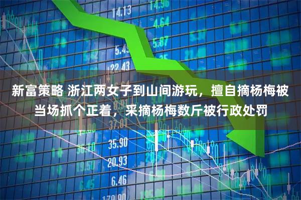 新富策略 浙江两女子到山间游玩，擅自摘杨梅被当场抓个正着，采摘杨梅数斤被行政处罚